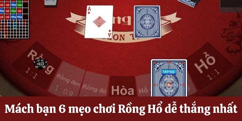 Mách bạn mẹo chơi Rồng Hổ dễ thắng nhất